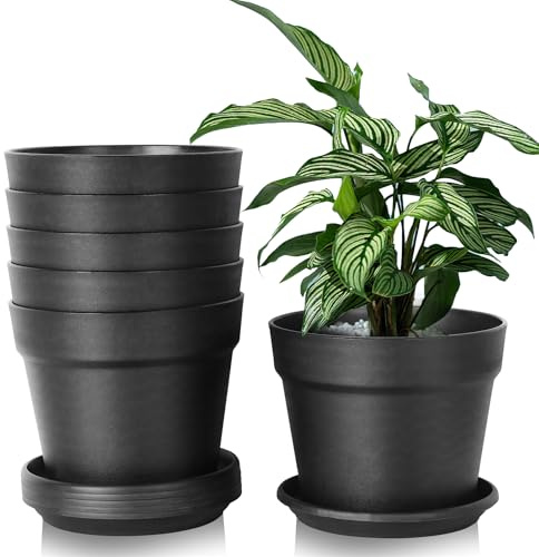 Solvant 16cm Kunststoff Blumentopf mit Untersetzer, 6er-Set Plastik Übertopf Kräutertopf mit Mehrere Ablauflöchern, Rund Pflanzkübel für Innen und Balkon Sukkulenten Kaktus, Schwarz (Schwarz, 20CM)