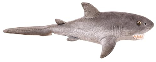 Generisch Doudou Requin, 60 cm, Mignon comme Coussin Douillet pour décoration, créatures Marines, pour Filles, Maison, Bureau, lit, canapé, Vacances, Anniversaire