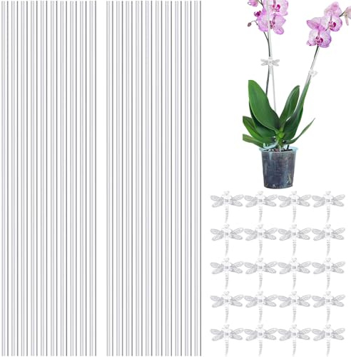 20 pali per piante in acrilico, supporto trasparente per piante con 20 clip per orchidee, bastoncini trasparenti per piante da giardino, interni ed esterni