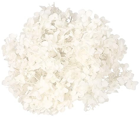 Amosfun 1 Confezione Ortensia Dried Flower Preserved Naturali per Decorazioni DIY per Art