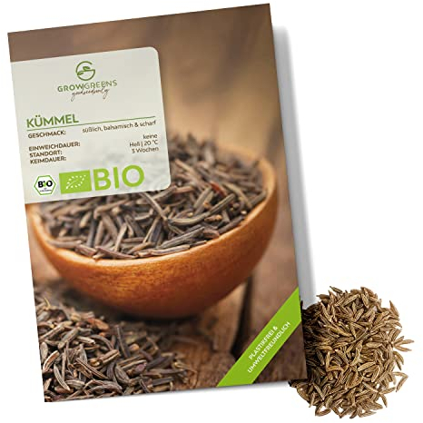BIO Kümmelsamen - Küchenkräuter Saatgut aus biologischem Anbau ideal für den heimischen Kräutergarten, Balkon & Garten (400 Korn)
