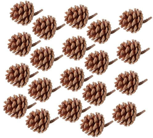 MAGICLULU 20stücke Natürliche Getrocknete Kiefernzapfen Weihnachtsbaum Dekoration Anhänger Für Festliche Anlässe Hochzeiten Und Partys Vielseitig Einsetzbar Als Weihnachtsdeko