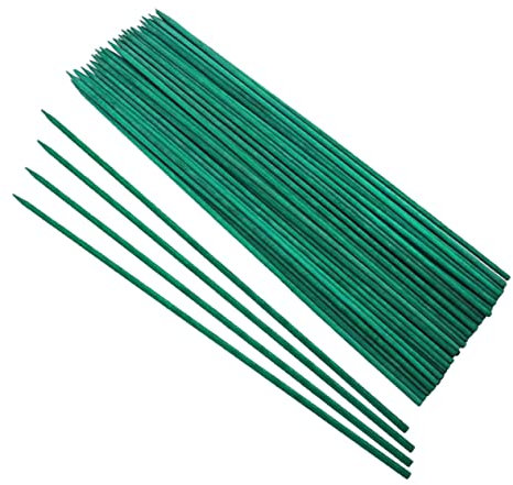 FONDOTIN 50pièces Tuteurs Bambou pour Plantes Supports pour Fleurs Et Tomates pour Jardins Et Arrangements Floraux