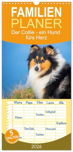 Familienplaner 2026 - Der Collie - ein Hund fürs Herz mit 5 Spalten (Wandkalender, 21 cm x 45 cm), CALVENDO: 13 wundervolle Fotos der Fotografin ... begleiten und durch das Jahr (CALVENDO Tiere)
