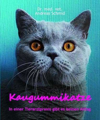 Kaugummikatze: In einer Tierarztpraxis gibt es keinen Alltag