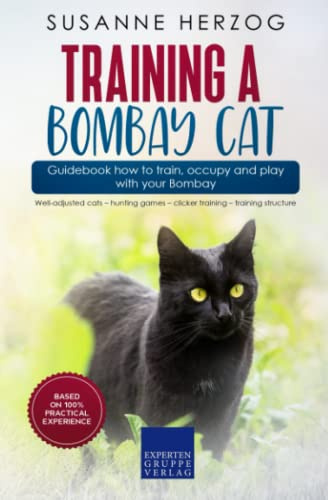 Training a Bombay Cat – Guidebook how to train, occupy and play with your Bombay: Well-adjusted cats – hunting games – clicker training – training structure