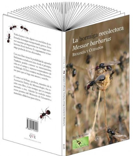 La hormiga recolectora Messor Barbarus: biología y cuidados