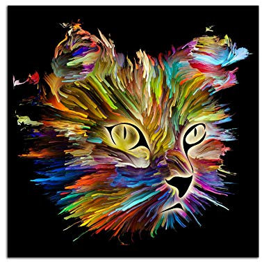 Startonight Impression Sur Verre Acrylique Tableau - Chat Multicolore - Moderne Animaux Image pour la Décoration de la Maison 60 x 60 cm