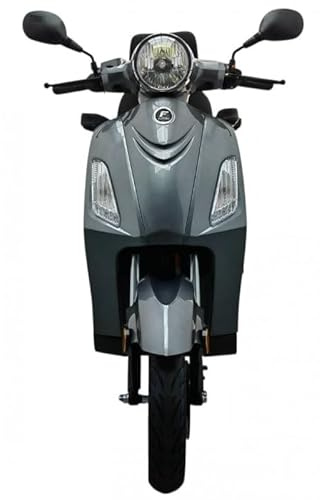 Vita Care 2000 Li Elektromobil 3-rädriges 2-Personen Seniorenmobil mit 1000 W Motor, Herausnehmbarem -Akku bis 90 km Rückwärtsgang & Topcase (Light grey, Akku- 60V/30Ah= bis zu 90 km Reichweite)