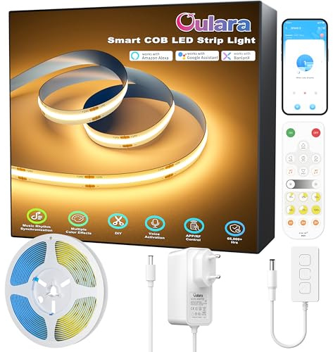 OULARA WIFI Striscia LED COB 3M Compatibile Alexa Bianca Calda 2700K, set di luci LED Striscia dimmerabili con Telecomando RF e Alimentatore, 24V Nastro LED per illuminazione fai da te