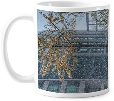 Snowscene City Photography Mug Pottery Ceramic Coffee Porcelain Cup Tableware