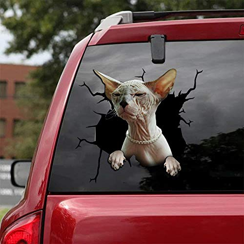 Ocean Gift Sphynx Katze Auto Abziehbilder, Katze Auto Aufkleber 2 Stück - Aufkleber für Autofenster, Wände Serie 3 Größe 20,3 cm x 20,3 cm