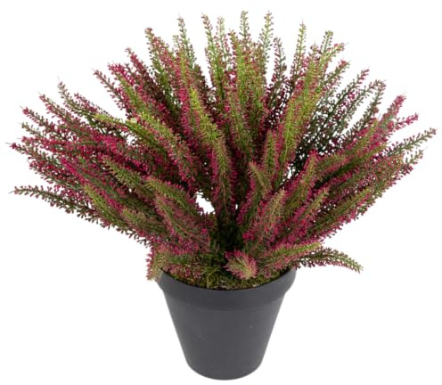 Seidenblumen Roß Großes Erika-Heidekraut im Topf DP, 36x42 cm, Fuchsia | Wetterfeste Outdoor Dekopflanze, UV-beständiger Erikabusch Kunststrauch für Garten Terrasse Grab, täuschend echte Pflanze
