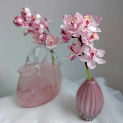 Semi orchidea Cymbidium - selvaggi balcone decorazione ufficio estate decorazione reali serrai balcone selvaggi, autunno, 100pcs