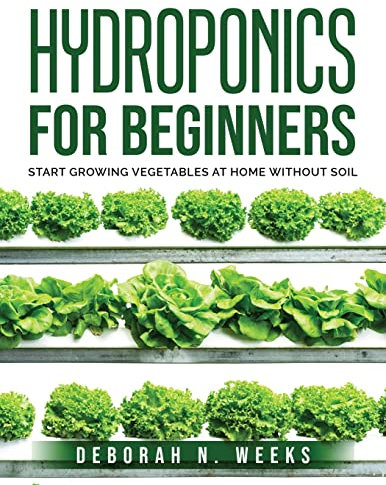 Hydroponics for Beginners: Start Growing Vegetables at Home Without Soil