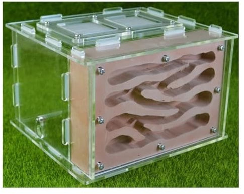 FENGJISUN Ameisenfarm Ameisen Farm Ameisenfarm Lebensraum Ameisenhaus Mit Futterplatz Ameisennest Farm Werkstatt Ameisenburg Ameisenfarm Erwachsener(B)