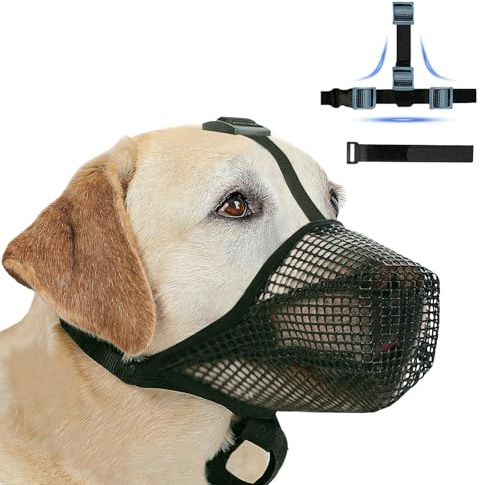Maulkorb für Große Hunde, Atmungsaktive Haustiermaske Hundetraining, Maulkorb Mittlere für Beißen Kauen, Soft Mesh Maulkorb für Kleine Mittlere und Große Hunde (Grün, XL)