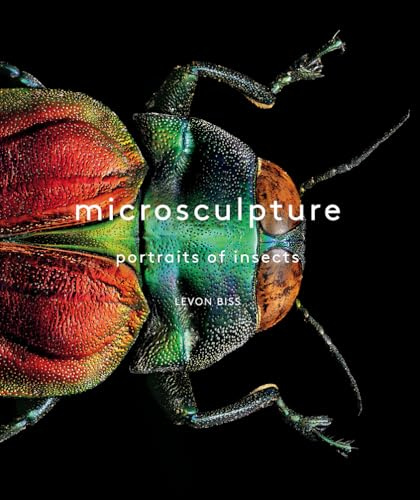 Microsculpture: Portraits of Insects