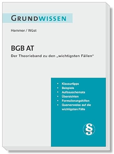 Grundwissen BGB AT: Der Theorieband zu den wichtigsten Fällen (Skripten - Zivilrecht)