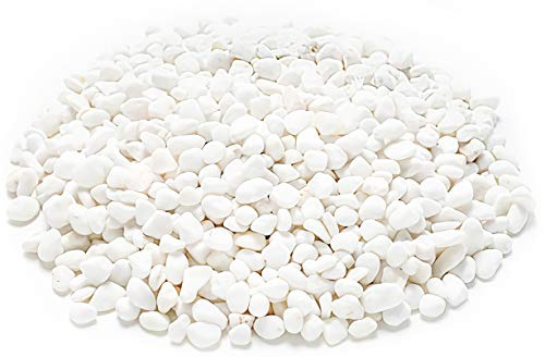 WUWEOT 12-lb White Decorative Bean Pebbles, 0.2 Natural Gravel Rocks for Plants, Succulents, Vases, Aquariums and Terrariums