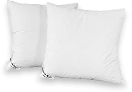 2 Stück Federn Kopfkissen 80 x 80 cm | Allergiker geeignet | 1500g Gänsefedernfüllung pro Kissen | Baumwollbezug | Für Zuhause und Hotel | pillow für Sofa | Federkissen | Öko Tex zertifiziert