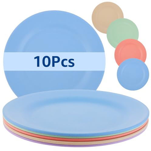 DAJAVE Lot de 10 assiettes plates de 28 cm, biodégradables, en plastique sain et incassable, pour enfants et adultes, passent au lave-vaisselle et au micro-ondes, sans danger et sain