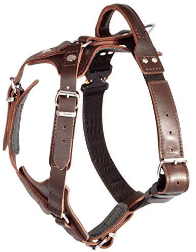 DINGO GEAR Elite Hundegeschirr Hadmade aus Leder, strapazierfähig, stark, Dunkelbraun, XL
