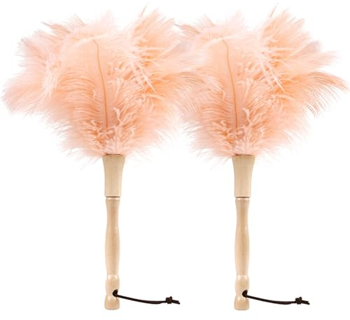 MehelloFeather Ostrich Feather Duster 12 Inch Handheld Duster Supplies, Wooden Handle Feather Duster for Cleaning Keyboard Home Car Office (Champagne 2Pcs)