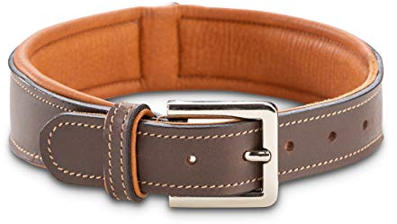 Jack & Russell Hundehalsband Leder Amy - Lederhalsband aus Echtleder - gepolstert & robust - Hunde Halsband doppellagig, kleine, mittelgrosse und große Hunde (M, Braun)