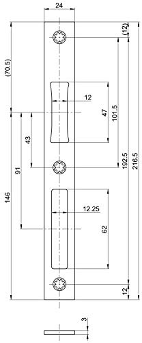 BKS B-90000-04-0-8 Schließblech flach eckig 216,5x24mm mit Fallendurchbruch 12mm Serie 18 und 19 Edelstahl B9000, Silber
