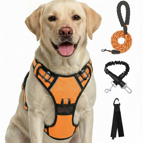Furryfection Zugfreies Hundegeschirr Reflektierend Orange Größe M | Strapazierfähiges Oxfordgewebe, gepolsterter Griff, 4 Gurte, 2 Leinenösen, für kleine bis mittelgroße Hunde