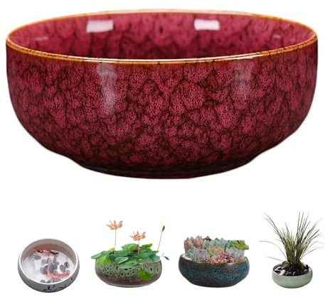 Lotus Bonsai Schale, Lotus Pflanze Keramik Blumenschale, Lotus Bowl Pflanzer, für die Wasserpflanzung im Innenbereich, Lotus-Töpfe für Wasserpflanzen, Wasserlilie, Grün Sukkulenten