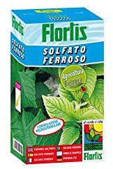 Flortis Ferrous Sulfate Fertiliser 1 kg