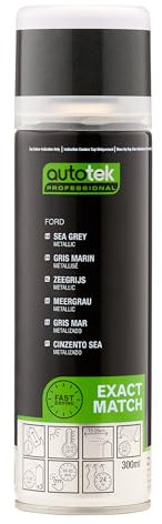 AutoTek Professional Exact Match Car Spray Paint, Ford Sea Grey Metallic Aerosol Spray, 300 ml