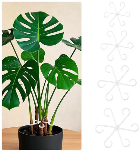 4Pcs Plant Stem Support Plastic Plant Climbers Leaf Flower Stem Support Ring Reusable Stem Holders Houseplant Support Stakes Cultivation Tools Houseplant Accessories for Thriving Growth (Transparent)