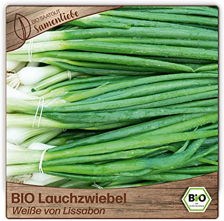 Samenliebe BIO Lauchzwiebel Samen Weiße von Lissabon 200 Samen samenfestes Gemüse Saatgut für Gewächshaus Freiland und Balkon BIO Gemüsesamen