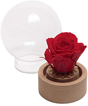 ROSEMARIE SCHULZ Heidelberg Unvergängliche Mini-Rose im Glas Blau Rund die Schöne und das Biest echte langhaltende Rose mit Glashaube rund (Small, Rot)