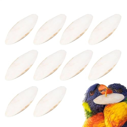 Sepia Schale für Vogelmuscheln, Sepia für Nymphensitiche, Schildkröten, 10-teilig, Hobbery Tink Fishing Bird BOD Toys, Haustierbedürfnisse, zartes Knochen-Spielzeug für Schildkröten,