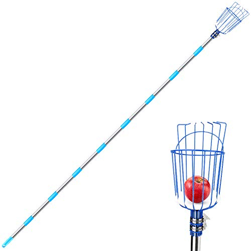 CestMall Fruit Picker Tool, 13-Foot Fruit Picker with Light-Weight Aluminum Telescoping Pole and Basket, Fruit Grabber Easy to Assemble, Use Fruits Catcher Tree Picker for Getting Apple, Fruits Tree