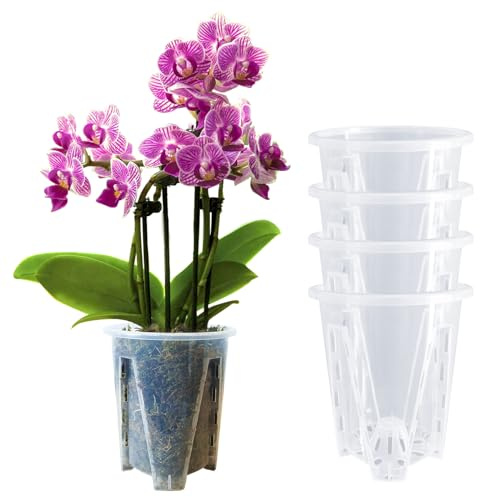 pavtner Macetas de orquídeas con agujeros