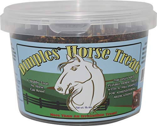 Dimples Horse Treats with Pill Dimples - 1lb Tub of USA-Made Horse Cookies with Beet Pulp - Tasty, Healthy, & Organic Treats - Equine Pill Dimples for Meds