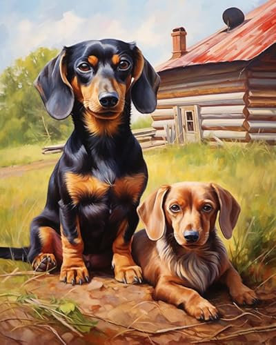 ZMHZMY Malen nach Zahlen Dackel im Hof Painting by Numbers Kit DIY ölgemälde Kit für Erwachsene,Anfänger Painting Set 16x20 Zoll Leinwanddruck Wandkunst Dekoration
