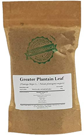Herba Organica - Greater Plantain Leaf - Plantago Major L - Herbal Tea (50g)