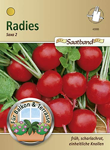 N.L. Chrestensen 43006 Radies Saxa 2 (ruban de semence) (graines de radis)