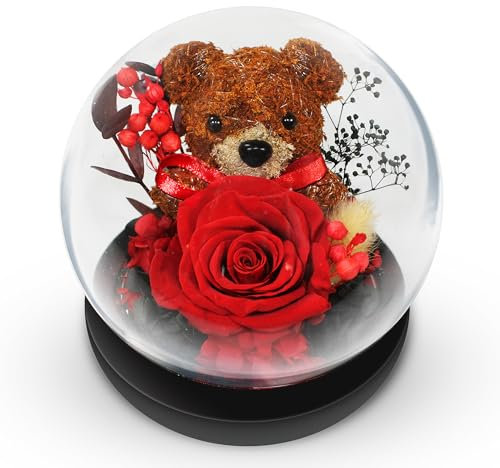 Gdecora Rosa Eterna Natural Preservada, Rosa Preservada con Oso, Ramo Flores en Cúpula de Cristal, Sant Jordi Regalos Mujer Mama, Regalo Dia de la Madre