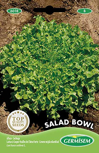 Germisem Salad Bowl Semillas de Lechuga 5 g, EC6018