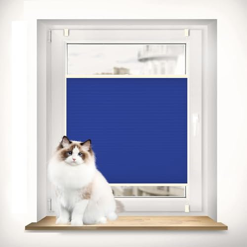 Plissee nach maß 35 x 70 cm Sichtschutz und Sonnenschutz Thermo Plisseerollo Klemmfix inkl. Befestigungsmaterial für Fenster & Türen, Blau