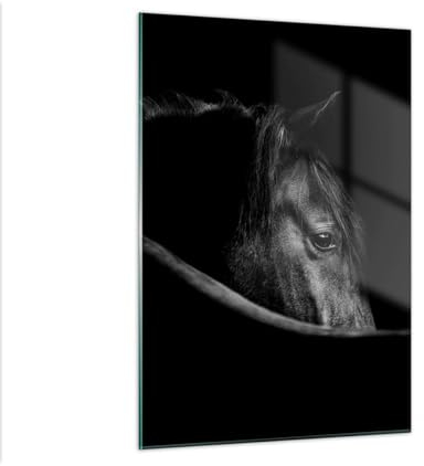 Bilder auf Glas Pferd Tier Künstlerisch Glasbild 50x70cm Wandbilder Dekoration Wohnzimmer Schlafzimmer Küche Deko Klein Wanddeko Bild im Glas Wand Kunstdruck Art Modern Wall Decor GPA50x70-5492