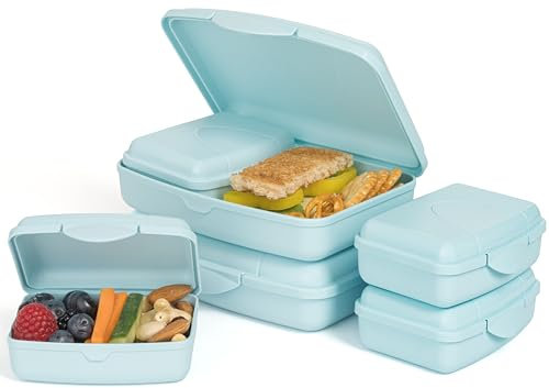 Hausfelder Brotdose flach mit Fächern – 6er Set Vesperbox Kinder Schule, Kleine Brotdosen schmal, Lunchbox mit Klickverschluss BPA-frei (2x groß 17x12x4, 4x klein 10x7x3,5 cm, LimeGreen)﻿