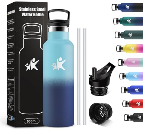 KollyKolla Gourde Isotherme 500ml, Bouteille Isotherme avec Paille, Double Paroi Isolante, Anti Fuite, Bouteille Reutilisable, sans BPA, pour Enfant, Adulte, l'école, Travail, Voyage, Jogging